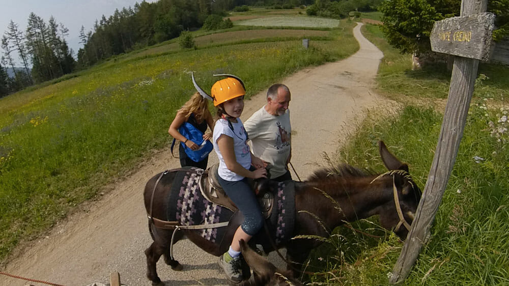 Trekking with the donkeys and a stunning view over Lake Garda Trentino Family Summer  