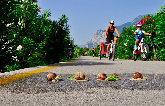5 percorsi Bike Family sul Lago di Garda Trentino Estate Famiglia Primavera  