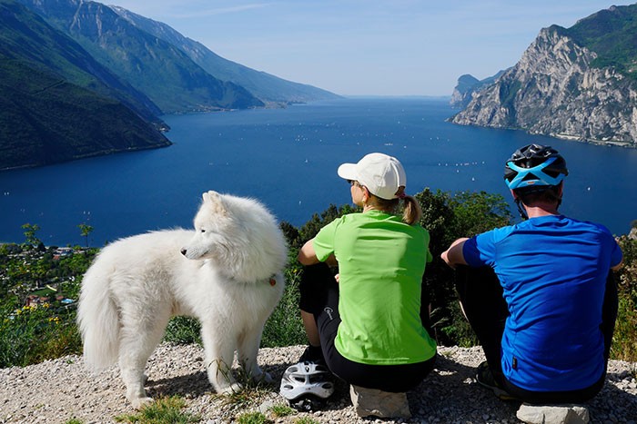 Urlaub mit Eurem Haustier am Gardasee Tipps  