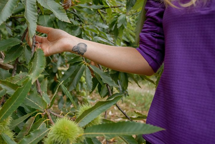 GardaTrek, l'insegnamento delle castagne - Drena Garda Stories Garda Trek Outdoor  