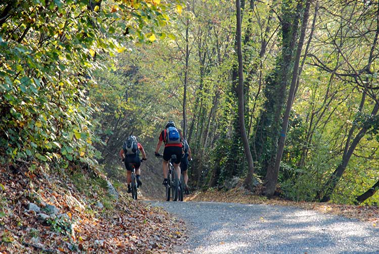 Three different bikeways for three different grades of physical training: everybody is on their bike in Garda Trentino Autumn Most Popular Articles Outdoor Spring Summer Winter  