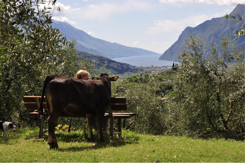 Kinder können am Gardasee in Trentino die Natur und die verschiedenen Tierarten erkunden Am Beliebtesten Family  
