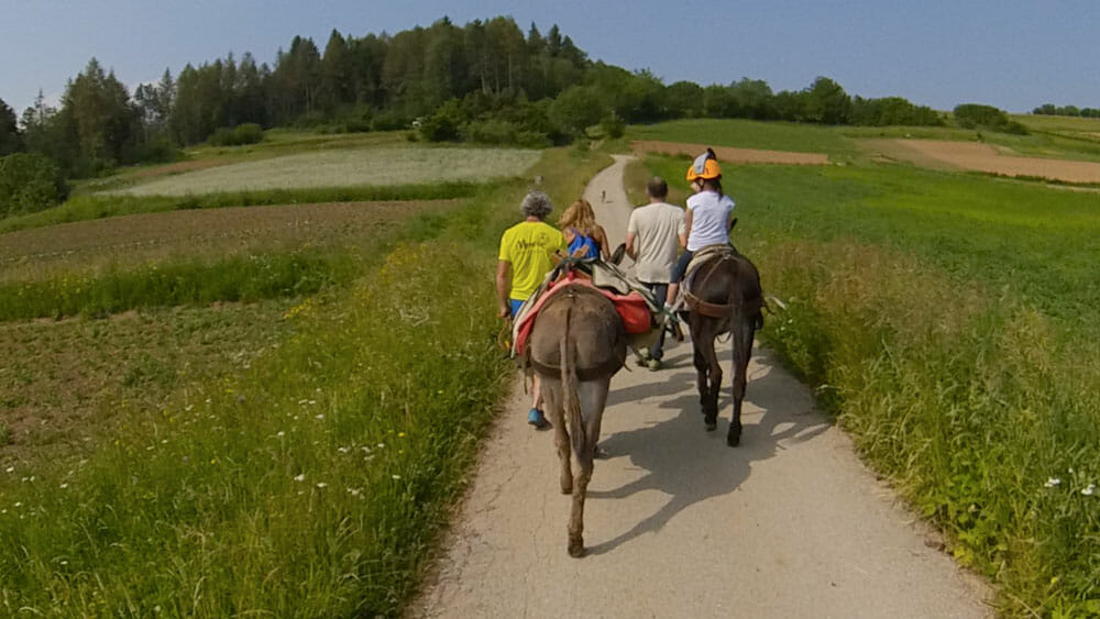 Trekking mit Eseln und atemberaubendem Ausblick auf den Gardasee Trentino Family Sommer  