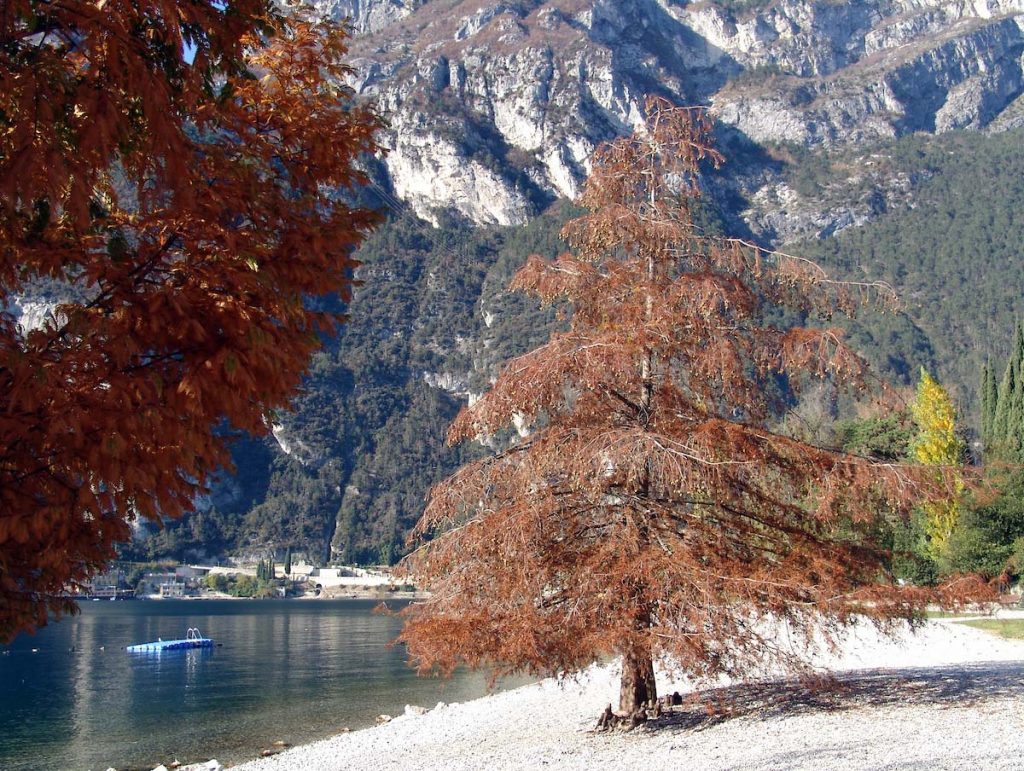 Top 5 places at garda trentino where to enjoy the foliage in autumn Autumn Outdoor  