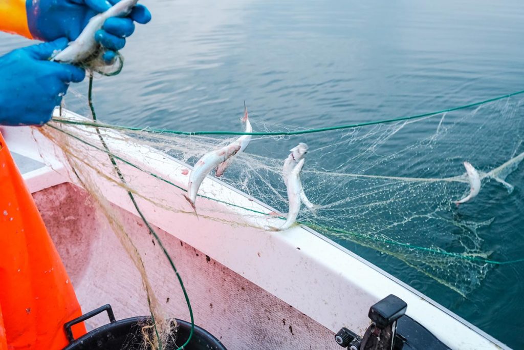 Fischfang am Gardasee Trentino - Die Ratschläge des Experten Outdoor Sommer Tipps Winter  