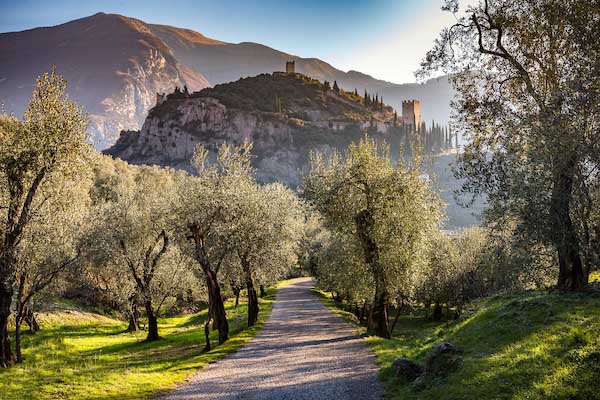Follow the Rhythm of Nature in Garda Trentino Tips  